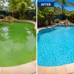 Garden Maintenance Tips for Cairns Homes That Actually Work